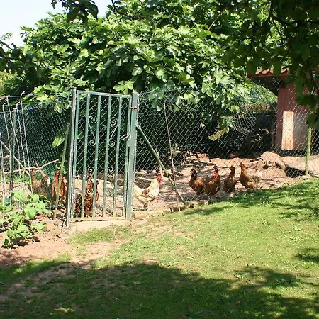 Летний дом Fonte San Pedrin Кахиде