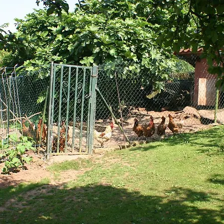 Casa rural Fonte San Pedrín Cajide